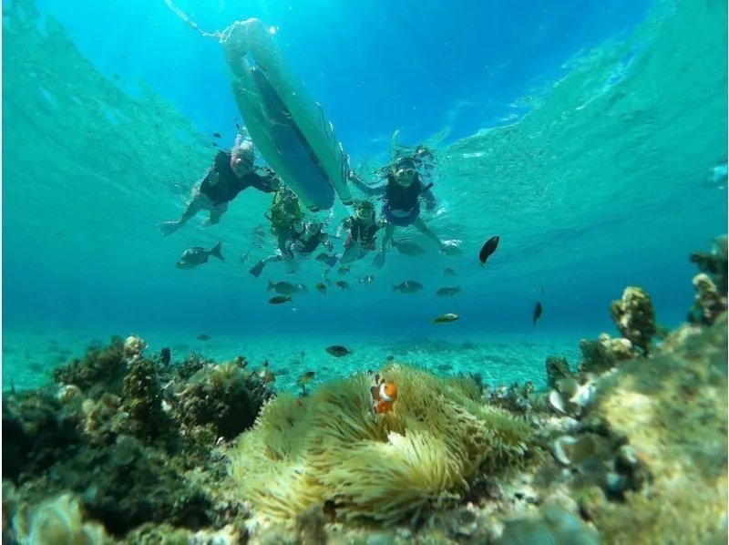 🏝️ 코마카 섬(코마카지마) 이미지 3